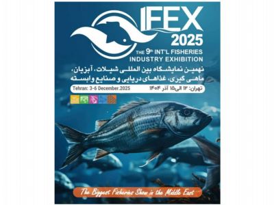 اخبار1